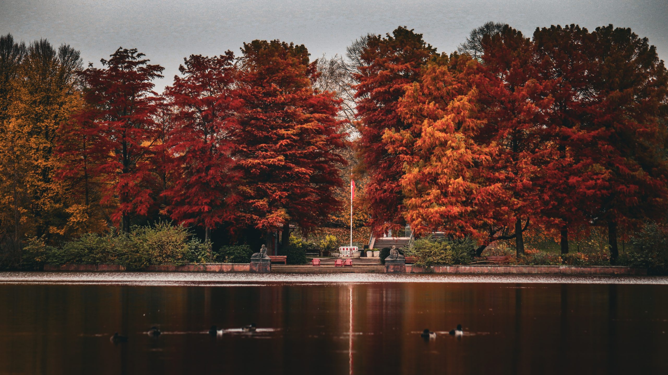 Der Stadtparkseufer im Herbst, Bäume in einem Orang braun ton
