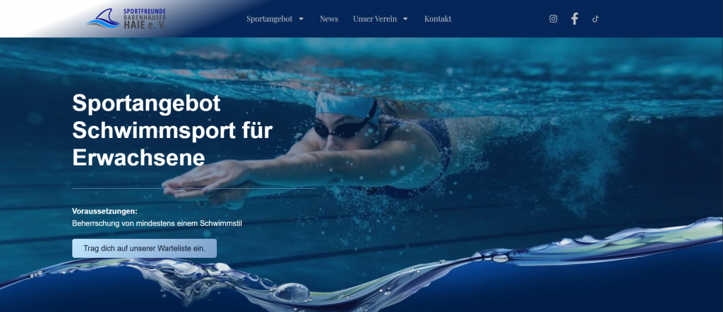 Screenshot von Sportverein Babenhausens Website